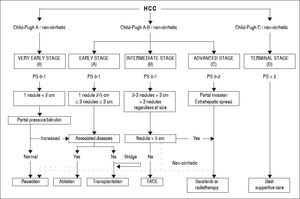 The proposed Bern Clinic Liver Cancer (BeCLC) algorithm for the management of hepatocellular carcinoma. The dotted line allows patients with an intermediate or an advanced HCC to undergo surgical resection, especially if they are nonclrrhotlc. HCC: hepatocellular carcinoma. TACE: transarterlal chemoembollzation.