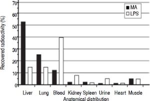 Clearance and anatomical distribution of intravenously administered macromolecules in healthy animals. Trace amounts of radiolabeled MA, and partially insoluble LPS were injected into the left jugular vein. Organs were analyzed for anatomical distribution 60 min after injection. Note that almost 40% of LPS remained in the blood after 60 min. More than 90% of the injected doses were recovered in the organs listed. Results are expressed as percent total radioactivity recovered. Organs that were analyzed with no uptake and therefore not included in the figure, were aorta, thyroi-dea, pancreas, thymus, stomach, duodenum, lymph nodes, pancreas, and colon. MA: modified albumin. LPS: lipopolysaccharide.
