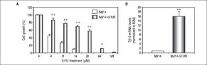 Knockdown of Tβ10 re-sensitizes chemosensitivity for 5-FU in M214-5FUR resistance cell line. (A) The sensitivity to 5-FU and Tβ10 expression of M214-5FUR cells were determined in comparison to M214 parental cells. CCA cells were incubated with various concentrations of 5-FU for 72 h and the cell viability was determined using the MTT assay. (B) Expression levels of Tβ10 in M214-5FUR and the parental cells were determined using real time RT-PCR. The data represent mean ± S.D. of three independent experiments. *P < 0.05 vs. the untreated control group.