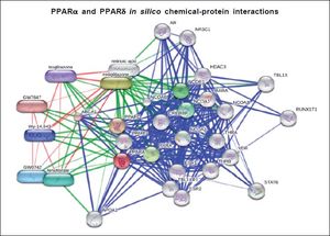 Protein-protein interactions are shown in blue, chemicalprotein interactions in green, and interactions between chemicals in red. Input: PPARα and PPARδ. PPARα (proliferator-activated receptor δ), PPARS (proliferator-activated receptor δ). Predicted functional chemical partners: rosiglitazone (score: 0.998); fenofibrate (score 0.995); GW0742 (PPARδ agonist, score: 0.995); Wy-14,643 (a synthetic thiacetic acid, score: 0.995); troglitazone (antidiabetic and anti-inflammatory drug, member of the drug class of the thiazolidinediones, score 0.991); GW7647 (score: 0.991); retinoic acid (tretinoin, score 0.997). The prediction was performed by the web resource STITCH 4.0, which explores known and predicted interactions between protein and chemicals. STITCH contains interactions for between 300,000 small molecules and 2.6 million proteins from 1,133 organisms.