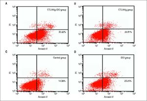Peripheral Tlymphocyte apoptosis on day 14 after operation. The apoptosis index in the CTLA4Ig-IDO group (36.63%) was higher than those of the CTLA4Ig, IDO, and control groups (2132%, 23.87% and 15.10%, respectively, P < 0.05).