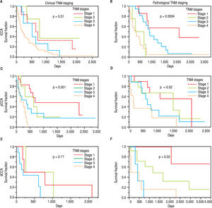 TNM staging and survival. The overall survival is depicted for clinical TNM stages, and for pathological TNM stages for each type of CCA. The p values indicate the statistical differences in survival fraction between the four stages for each type of cancer.