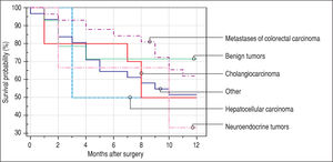 12-month survival of patients older than 65 years according to histological findings.