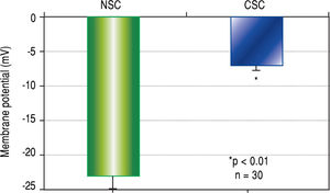 Cell membrane potential differences (PDs) in normal stem cells (NSCs) and cancer stem cells (CSCs) derived from healthy human livers and hepatocellular carcinoma tissues respectively, as determined by microelec-trode impalements of isolated cells. The PDs of CSCs were significantly depolarized (p < 0.01) when compared to NSCs.