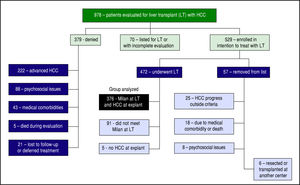 Evaluation algorithm demonstrating all patients evaluated for LT with HCC (n = 978), who were enrolled in intention-to-treat with LT (n = 529), subsequently underwent LT (n = 472), and were found to be inside MC and have confirmed HCC at explant (n = 347).