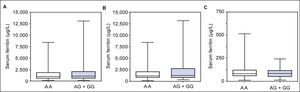 Serum ferritin levels according to GNPAT genotypes in hemochromatosis (HFE-HH) patients (whole cohort) (A), hemochromatosis male-only patients (B) and healthy blood donors (C).