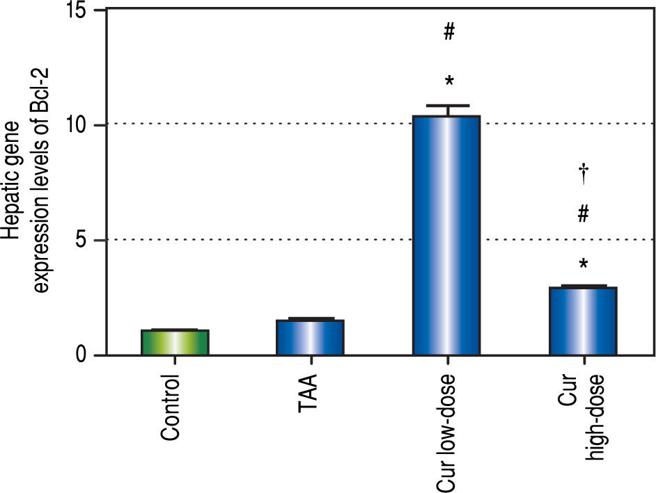 Hepatoprotective Effect of Curcumin on Hepatocellular Carcinoma Through ...