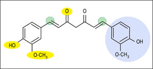 Molecular structure of curcumin emphasizing key functional groups and chemical properties. Yellow ovals depict hydrogen bonding sites (not shown on right side of molecule), green octagons depict Michael acceptor sites, and light blue circle depicts hydrophobic moieties (not shown on left side of molecule). In addition, keto-enol tautomerism occurs between the central portion of the molecule (di-keto tautomer shown).