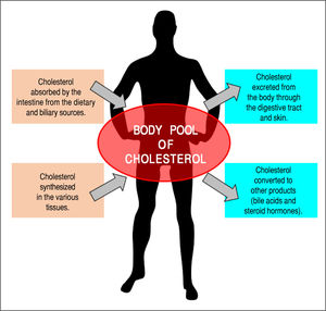 The general feature of cholesterol balance across the body. There are two major sources of cholesterol available for the body: (i) intestinal absorption of dietary and biliary cholesterol; and (ii) cholesterol biosynthesis in the various tissues, predominantly in the liver and intestine. Likewise, there are two main pathways for the excretion of cholesterol from the body: (i) the excretion of cholesterol from the body through the gastrointestinal tract and skin; and (ii) the conversion of cholesterol to other compounds such s bile acids and steroid hormones. Because total input of cholesterol into the body must equal total output in the steady state, the body pool of cholesterol can be fundamentally kept constant. As a result, it prevents a potential accumulation of excess cholesterol in the body. Of note is that in children, there is necessarily a greater input of cholesterol into the body than output since there is a net accumulation of cholesterol for keeping body weight growth. Reproduced with slightly modifications and permission from Wang DQ-H, Neuschwander-Tetri BA, Portincasa P (Eds). The Biliary System. Morgan & Claypool Life Sciences. The 2nd. Ed. Princeton, New Jersey: 2017.