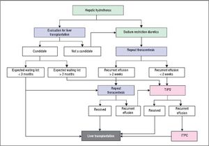Management algorithm for hepatic hydrothorax. ITPC: Indwelling tunneled pleural catheter. TIPS: Transjugular intrahepatic portosystemic shunt.
