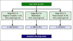 Flow chart of the study cohort. TACE: Transarterial chemoembolization. HCC: Hepatocellular carcinoma. BCLC: Barcelona clinic liver cancer. PS: Performance status.