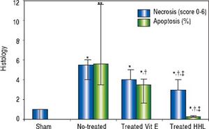 Quantification of apoptosis and necrosis lesions for each group after liver ischemia-reperfusion. Score (0 to 6) according to the stage, the topography and the severity of necrosis lesion. Percentage of apoptotic area estimation by random evaluation of 10 HPF. Values are expressed as medians (min/max). P < 0.01 **vs. Sham.