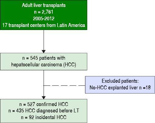 Results of Liver Transplantation for Hepatocellular Carcinoma in a ...