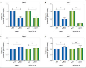 CDH1 silencing counteracts the effects of the treatment in the regulation of pathway transcriptional activity. Quantitative analysis of CDH1 mRNA levels in HepG2 (A) and HuH7 (B) cell lines, after treatment with 15nM of siRNA non-targeting (siNT) or pool siRNAs against CDH1 (siCDH1). mRNA level of CDH1 gene were compared between treated (5aza-dC+TSA) and non-treated (DMSO) cells and normalized against GAPDH. Quantitative analysis of c-MYC mRNA levels in HepG2 (C) and HuH7 (D) cell lines, after treatment with 15nM of siRNA non-targeting (siNT) or pool siRNAs against CDH1 (siCDH1). mRNA level of c-MYC gene were compared between treated (5aza-dC+TSA) and non-treated (DMSO) cells and normalized against GAPDH. ns: non statistically significant. The experiments were performed in triplicate and results correspond to means and the comparison of the differences of the means, between treated and non-treated cells, with 95°% confidence intervals ± SD. p < 0.05 denotes statistica signifcance. *p < 0.05, **p < 0.005, ***p < 0.0005.