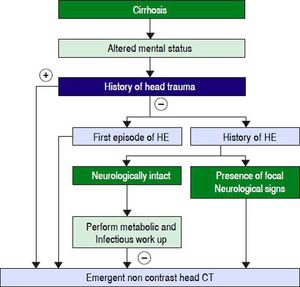 Proposed algorithm for performing head CT in hepatic encephalopathy.