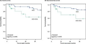Kaplan-Meier survival curves for (A) overall survival and (B) recurrence-free survival by tumor type. Solid blue line: hepatocellular carcinoma (HCC); Dashed green line: combined hepatocellular-cholangiocarcinoma (HCC-CCA).