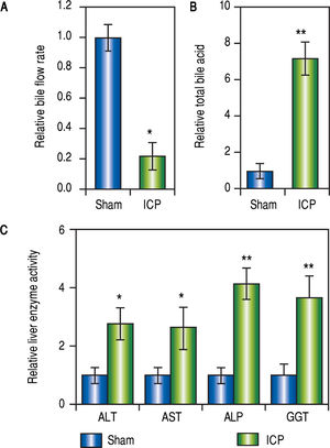 Establishing ICP rat model by 17 a-ethinylestradiol (EE) induction. (A and B) Relative levels of bile flow rate (A) and total bile acids (B) in sham and ICP groups of rats (n = 16 each), (C) Enzymatic activities of alanine aminotransferase (ALT), aspartate aminotransferase (AST), alkaline phosphatase (ALP) and y-glutamyltranspeptidase (GGT) in sham and ICP groups of rats (n = 16 each). Values were mean ± SD, ** p < 0.01, * p < 005, between sham and ICP,