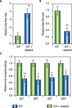 Celastrol ameliorated symptoms in ICP rats, (A and B) Relative levels of bile flow rate (A) and total bile acids (B) in ICP and ICP + celastrol groups of rats (n = 20 each), (C) Enzymatic activities of alanine aminotransferase (ALT), aspartate aminotransferase (AST), alkaline phosphatase (ALP) and y-glutamyltranspeptidase (GGT) in ICP and ICP + celastrol groups of rats (n = 16 each). Values were mean ± SD, **p < 0.01, * p <0.05, between ICP and ICP + celastrol.