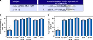 TLR4 is a miR-182-5p target according to dual-luciferase-reporter assay. (A) The putative miR-182-5p binding sequences in the TLR4 mRNA 3’-UTR according to TargetScan version 5.2. Transfection with a miR-182-5p mimic inhibits luciferase activity by more than 50% in (B) RAW264.7 and (C) HepG2 cells. ** P < 0,01, miR-182-5p group vs. other groups.