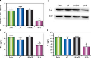miR-182-5p down-regulates TLR4 in macrophages following LPS administration i n vitro. A. RT-PCR analysis of TLR4 expression in macrophages following LPS administration. B. TLR4 protein levels according to western blot analysis. The levels of (C) TNFa and (D) IL-6 levels in supernatants according to ELISA. Results represent the mean ± standard deviation. *P < 0.05 and **P < 0.01, miR-182-5p group vs. other groups.