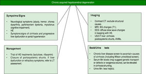 Chronic acquired hepatocerebral degeneration - a summary. BG: basal ganglia. CT: computer tomography. EEG: electroencephalogram. HE: hepatic encephaolopathy. Mn: Manganese, US: Ultrasound.