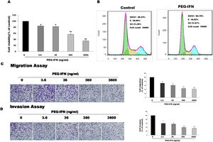 PEG-IFN-mediated inhibition of HepG2 cells proliferation, migration and invasion. (A) HepG2 cells were treated with various concentration of PEG-IFN for 48h, and the cell viability was measured using MTT assay (*P<0.05, **P<0.01, vs. HepG2 cells not given PEG-IFN). (B) Flow cytometry analysis showed that PEG-IFN induced G1-arrest of HepG2 cells. (C) Exposure to various concentrations of PEG-IFN resulted in dose-dependent migration inhibition of HepG2 cells (*P<0.05, **P<0.01, vs. HepG2 cells not given PEG-IFN). (D) Exposure to various concentrations of PEG-IFN resulted in dose-dependent migration inhibition of HepG2 cells (*P<0.05, **P<0.01, vs. HepG-2 cells not given PEG-IFN).