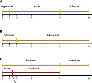 The classifications and subtypes of ALF employing the time between between jaundice to encephalopathy. Temporal line was graduated to 12 weeks. (A) corresponds to O'Grady's, (B) to Bernau's and (C) to Mochida's classifications.