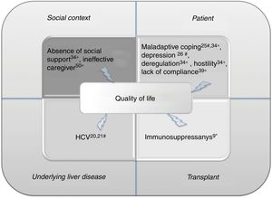 Main factors influencing the quality of life of patients during the transplant process. Each factor has been associated to reference number. We detected the following main macro categories: social context, patient psychological patterns, underlying liver disease and features correlated to transplant. Hashtag indicates the effect on pre-transplant quality of life; asterisk, on post-transplant quality of life. HCV, hepatitis C virus.