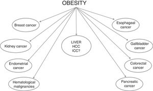 Malignancies associated with obesity. Abbreviations: HCC, hepatocellular carcinoma. ICC, intrahepatic cholangiocarcinoma.