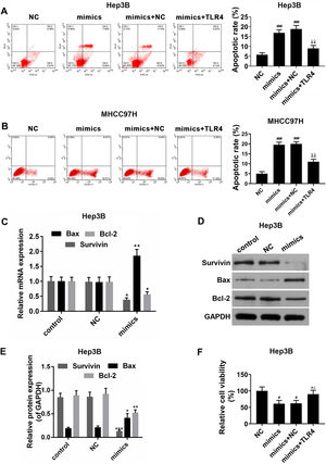 (A and B) The effect of miR-122 on apoptosis of Hep3B and MHCC97H cells. mimics: miR-122 mimics. ###P<0.001 vs. NC; ^^P <0.01 vs. mimics; ΔΔP<0.01 vs. mimics+NC. (C) RT-PCR for the expression of Bax, Bcl-2 and survivin. mimics: miR-122 mimics. *P<0.05 and **P<0.01 vs. control. (D and E) Western blot for the protein levels of Bax, Bcl-2 and survivin, western blot was repeated three times. mimics: miR-122 mimics. *P<0.05, **P<0.01 and ***P<0.001 vs. control. (F) The effect of miR-122 on viability of HCC cells. mimics: miR-122 mimics. #P<0.05 vs. NC; ^P<0.05 vs. mimics; ΔP<0.05 vs. mimics+NC.