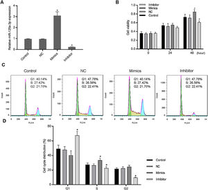 Increased expression of miR-125a-3p could promote cell cycle progression in HL-7702 cells. To explore the functional role of miR-125a-3p in the process of liver regeneration, the miR-125a-3p mimics and inhibitor were constructed and transfected into HL-7702 cells. (A) The transfection efficiencies of mimics and inhibitor were detected by qPCR. (B) Cell viability of transfected cells each 24h was measured by CCK-8 assay. (C and D) The effects of miR-125a-3p regulation on cell cycle distributions were analyzed by flow cytometry. Each value represents mean±SEM (n=3). U6 was considered as an internal control. *p<0.05 vs. Control group.