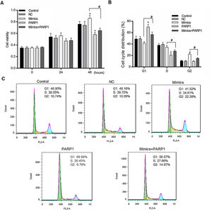 PRAP1 overexpression could reduce the proliferation and cell cycle progression effects by miR-125a-3p on HL-7702 cells. (A) The cell viabilities of each experiment group cells were detected by CCK-8 kit each 24h. (B and C) The transfected cells were collected for the analysis of cell cycle distribution by flow cytometry. Each value represents mean±SEM (n=3). *p<0.05 vs. Control group; #p<0.05 vs. Mimics groups.
