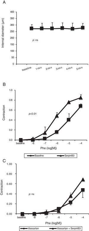 Panel A: effect of SB3 (10−7M) on small resistance mesenteric arteries (isolated from to 5 WT Wistar-Kyoto rats) preconstricted with phenylephrine (10−6M). No significant variation in arterial diameter was observed. Panel B: concentration–response curve to phenylephrine (PHE) obtained in small resistance mesenteric arteries. The administration of SB3 increased the sensitivity to PHE of the arteries (two-way ANOVA: p<0.01). Panel C: concentration–response curve to PHE obtained in small resistance mesenteric arteries incubated with irbesartan (10−5M) to inhibit Angiotensin II type 1-receptors. After pre-incubation with irbesartan, the administration of SB3 did not modify the sensitivity to PHE of the arteries (two-way ANOVA: p: NS). Estimated of variance are±SD.