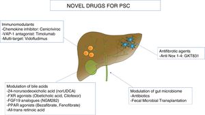 Novel drugs for Primary Sclerosing Cholangitis (PSC). norUDCA, 24-norursodeoxicholic acid; FXR, farnesoid X receptor; FGF19, fibroblast growth factor 19; PPAR, peroxisome proliferator-activated receptor; VAP-1, vascular adhesion protein 1.