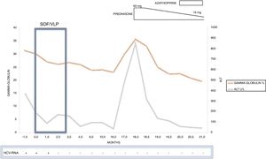 Alanine aminotransferase and immunoglobulin levels during treatment for chronic hepatitis C virus infection and following treatment with prednisolone and azathioprine.