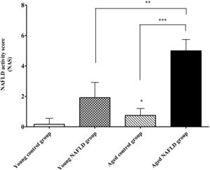 NAFLD activity scores in the liver tissues. *P<0.01 compared with the young control group, **P<0.001 compared with the young NAFLD group, ***P<0.001 compared with the aged control group. NAS, NAFLD activity score.