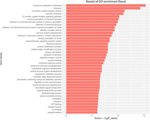 GO pathway analysis of the differentially expressed miRs in the aged rats. Enrichment score is equal to −log10(P_value). The higher the enrichment score is, the more specific the corresponding function is. X-coordinate represents the negative logarithm of P(−Lg; P_value). Y-coordinate denotes the name of the path. GO, Gene Ontology; miRs, microRNAs.