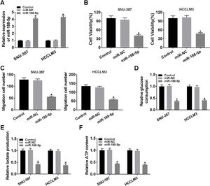 Influences of miR-188-5p overexpression on proliferation, migration and glycolysis of hepatocellular carcinoma cells. (A–F) SNU-387 and HCCLM3 cells were divided into three groups: Control, miR-NC, and miR-188-5p groups. (A) The relative expression level of miR-188-5p in SNU-387 and HCCLM3 cells was determined by RT-qPCR. (B) The cell viability of SNU-387 and HCCLM3 cells was evaluated by MTT assay. (C) The migration ability of SNU-387 and HCCLM3 cells was assessed by transwell migration assay. (D–F) Glucose consumption, lactate production, and ATP content in SNU-387 and HCCLM3 cells were shown and normalized to the value detected in the Control group. *P<0.05.