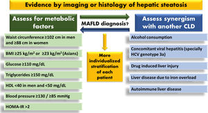 Assumed criteria for MAFLD diagnosis. MAFLD; metabolic-associated fatty liver disease, HDL; high-density lipoprotein, HOMA-IR; homeostatic model assessment of insulin resistance, BMI; body mass index, CLD; chronic liver disease, HCV; hepatitis C virus.