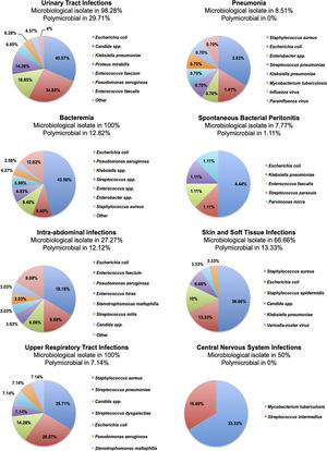 Proportions of microorganisms isolated in each infectious complication. In the heading of each graphic, the category of infectious complication with the respective rates of positive cultures and polymicrobial infections is described.