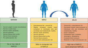 Main differences in metabolically healthy (MHO) and metabolically unhealthy obesity (MUO) [when compared with metabolically healthy normal weight individuals (MHNW)].