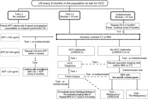 Surveillance and diagnostic algorithm for hepatocellular carcinoma. Note: See additional information in Appendix 2.