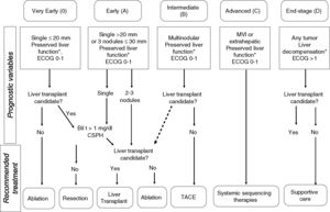 Staging for hepatocellular carcinoma according to the Barcelona Clinic Liver Cancer (BCLC). Note: This figure is adopted from its original and latest version from the BCLC. Some changes were done, particularly for liver transplant candidates regarding BCLC-D or BCLC-B (if these patients are selected through composite models or specific UCSF downstaging protocol+<span class=