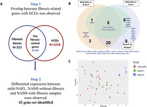 Identification of gene set related to both HOMA-IR and fibrosis. (A) Two-step analysis approach for identification of key fibrosis related genes (42 genes). (B) Comparisons of expression of 42 key fibrosis-related genes across groups (mild-NAFL; n = 24, NASH-with-fibrosis, N-w-f; n = 7, and NASH-without-fibrosis, N-wo-f; n = 13). (C) Principal component analysis with expressions of key fibrosis genes showing clustering of mild-NAFL, NASH-1 (low HOMA-IR), and NASH-2 (high HOMA-IR).