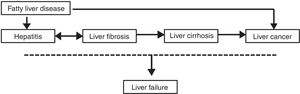 Schematic chart of chronic liver disease progress.