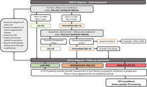 Algorithm for the follow-up of patients with NAFLD. MI; myocardial infarction, CV; cardiovascular, HCC; hepatocellular carcinoma. Notes. Initial assessment and risk stratification for NAFLD patients (adapted from Castera and Yoneda). Patients with NAFLD should be screened for differential diagnosis, undergo assessment for cardiovascular risk and alcohol consumption. Initial NAFLD fibrosis risk assessment should be performed using non-invasive scores (NAFLD fibrosis score and FIB-4). When advanced fibrosis is not excluded, other non-invasive tests such as transient elastography should be performed. If this test is unavailable or fails to obtain results, other elastography techniques such as shear-wave elastography or magnetic resonance elastography can be selected. In patients with intermediate-high risk for advanced fibrosis, a liver biopsy should be considered. There is no current consensus regarding an interval for the follow up of these patients. It can be tailored according to the presence of risk factors for fibrosis progression. In patients with cirrhosis HCC and esophageal varices screening must be undertaken. In patients with advanced fibrosis, HCC screening should be considered.