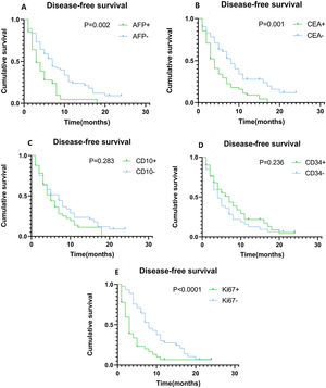 Kaplan–Meier plots of disease-free survival (DFS) contrasting high versus low expression of AFP, CEA, CD10, CD34, and Ki67. (A) Association between DFS and AFP expression. Patients with high AFP expression had significantly shorter DFS (P = 0.002). (B) Association between DFS and CEA expression. Patients with high CEA expression had significantly shorter DFS (P = 0.001). (C) Association between DFS and CD10 expression, showing no statistically significant difference. (D) Association between DFS and CD34 expression, showing no statistically significant difference. (E) Association between DFS and Ki67 expression. Patients with high Ki67 expression had significantly shorter DFS (P < 0.0001).