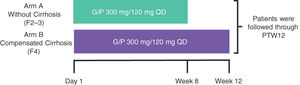 Study schematics.† †The study enrollment was monitored to meet the following enrollment criteria: 1) a minimum of approximately 35 GT1 and 25 GT3 patients and 2) approximately 80 F2–3 and a maximum of approximately 20 F4 patients. G/P, glecaprevir/pibrentasvir; PTW12, post-treatment Week 12; QD, once daily.