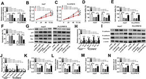 Effects of DDX11-AS1 knockdown and miR-195-5p inhibitor on HCC progression. Huh7 and PLC/PRF/5 cells were transfected with si-NC, si-DDX11-AS1, si-DDX11-AS1 + in-miR-NC, or si-DDX11-AS1 + in-miR-195-5p, respectively. (A) MiR-195-5p level in Huh7 and PLC/PRF/5 cells was measured by qRT-PCR to evaluate the transfection efficiency of si-DDX11-AS1 and in-miR-195-5p. (B–C) The proliferation of Huh7 and PLC/PRF/5 cells was evaluated by CCK-8 assay. (D–E) Transwell assay was performed to assess the migration and invasion of Huh7 and PLC/PRF/5 cells. (F) The apoptosis of Huh7 and PLC/PRF/5 cells was assessed by apoptosis determination assay. (G–J) WB analysis was used to assess the protein levels of Cyclin D1, p21, Bcl-2, Bax, E-cadherin, N-cadherin and Vimentin. The lactate production (K), glucose consumption (L), ATP level (M) and glucose uptake (N) of Huh7 and PLC/PRF/5 cells were determined by Lactate Assay Kit, Glucose Assay Kit, ATP Assay Kit and Glucose Uptake Assay Kit, respectively. *P < 0.05.