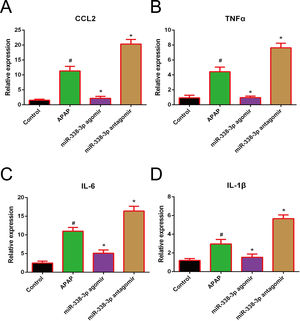 Effect of miR-338-3p on the expression of pro-inflammatory cytokines in APAP-induced liver injury. The mRNA expression levels of (A) CCL2, (B) TNF-α, (C) IL-1B and (D) IL-6 were quantified by reverse transcription-quantitative PCR. Histogram shown as means±standard deviation of values from three independent experiments. #Significant compared with control group, P<0.05. *Significant compared with APAP group, P<0.05.